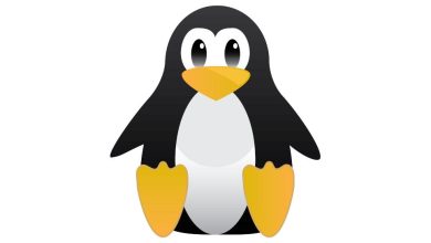 Best Linux distros of 2023